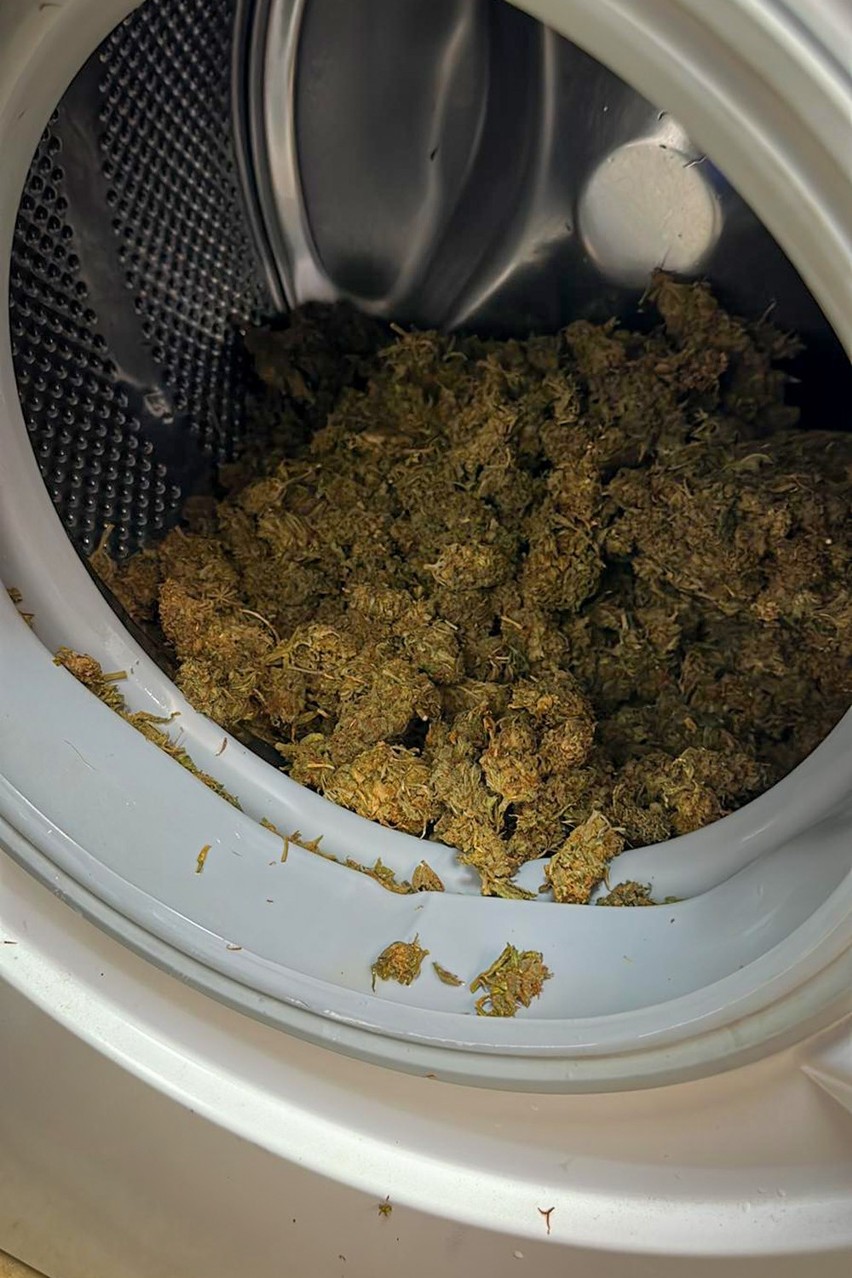 Marihuana w pralce i lodówce, szafki pełne pieniędzy. Akcja gdańskiego CBŚP przeciw gangowi powiązanemu z pseudokibicami 