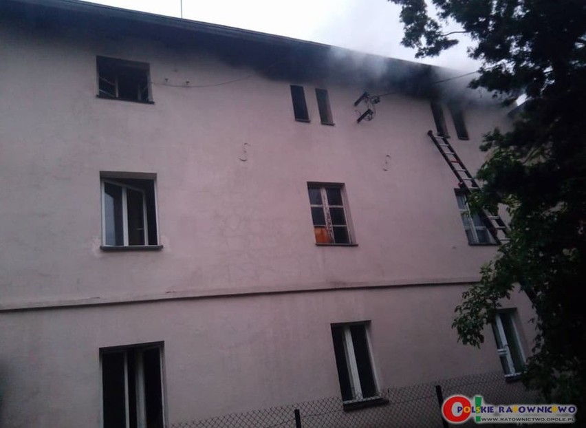 Pożar kamienicy socjalnej przy Małym Przedmieściu w Oleśnie