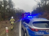 Dachowanie samochodu w gminie Ryjewo. 25-letni kierowca stracił panowanie nad samochodem i wjechał do przydrożnego rowu