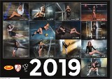 Piękne siatkarki Grot Budowlanych w kalendarzu na 2019 rok [zdjęcia]