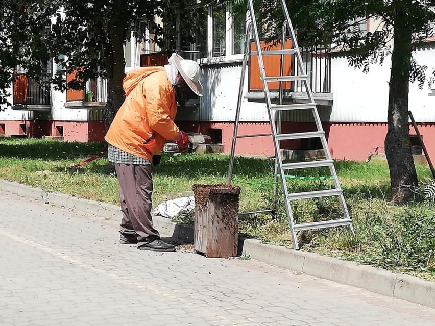 W czwartek dyżurny PSP w Zambrowie odebrał zgłoszenie o...