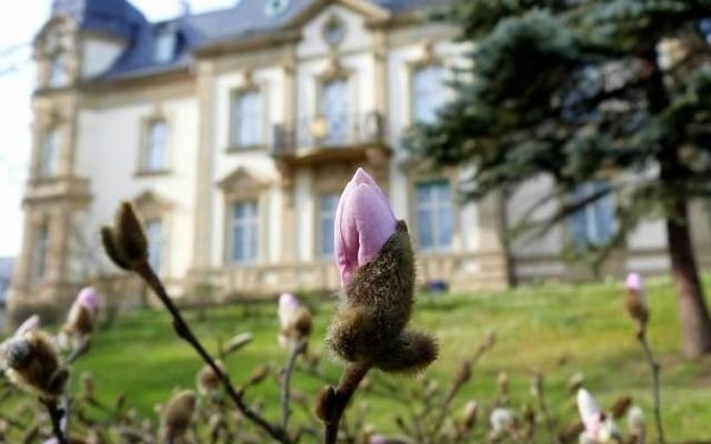 Jesień to wyjątkowa pora roku! Wiele zakątków o tej porze roku mieni się w złotych kolorach i zachwyca swoją jesienną aurą. A skoro lubuskie to piękny, zielony region, to o tej porze roku wygląda jeszcze bardziej wyjątkowo!Jeśli lubicie wycieczki, długie spacery i wypady za miasto to mamy dla Was superpropozycje. A dokładnie, to 14 propozycji. Zobacz, gdzie warto wybrać się na wycieczkę za miasto. Każde z tych miejsc położone jest w naszym regionie, więc macie do niego "rzut beretem". Dlatego też polecamy: ubrać wygodne buty, zabrać termos z gorącą kawą lub herbatą i... rozkoszować się otoczeniem, miejscem i wolnym dniem!Kliknij i poznaj nasze lubuskie TOP 14 >>>>>