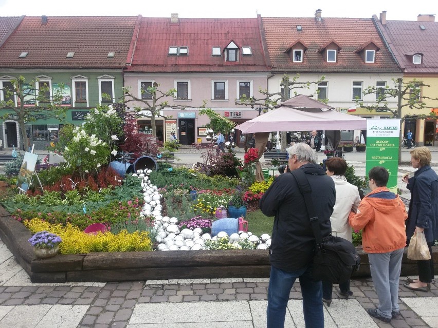 Rynek w Pszczynie na Daisy Days zmienił się w ogród