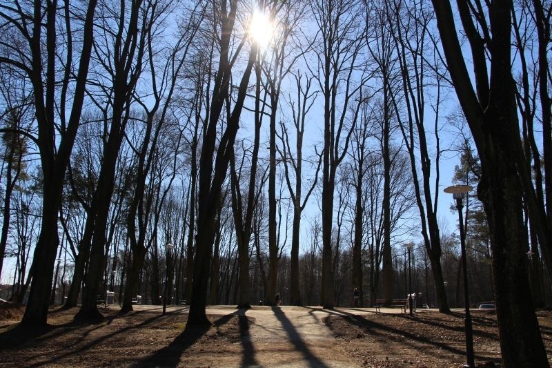 Park Konstytucji 3 Maja. Wielkie zmiany przy kamiennej piramidzie (zdjęcia, wideo)