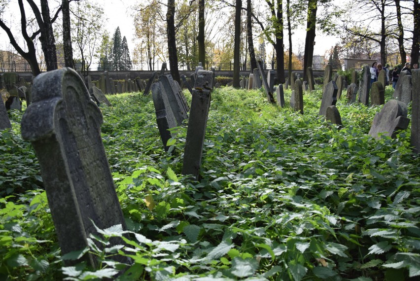 Niezwykła lekcja historii 1 listopada z dr Jackiem Proszykiem na zabytkowym cmentarzu żydowskim w Oświęcimiu [ZDJĘCIA]