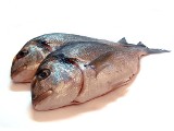 Na co zwracać uwagę przy zakupie ryb na święta? [wideo]