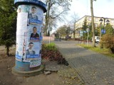 Nie każdy kandydat zmieści się na słupie. Miejsce na wywieszanie plakatów wyborczych w Mogilnie  jest na wagę złota 