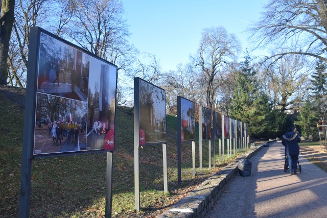 Wśród prac są zdjęcia uczestników konkursu, który ogłosiło miasto.