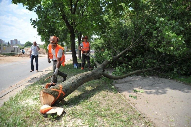 Gruntowny remont na Waszyngtona. Trwa wycinka drzew [FOTO]