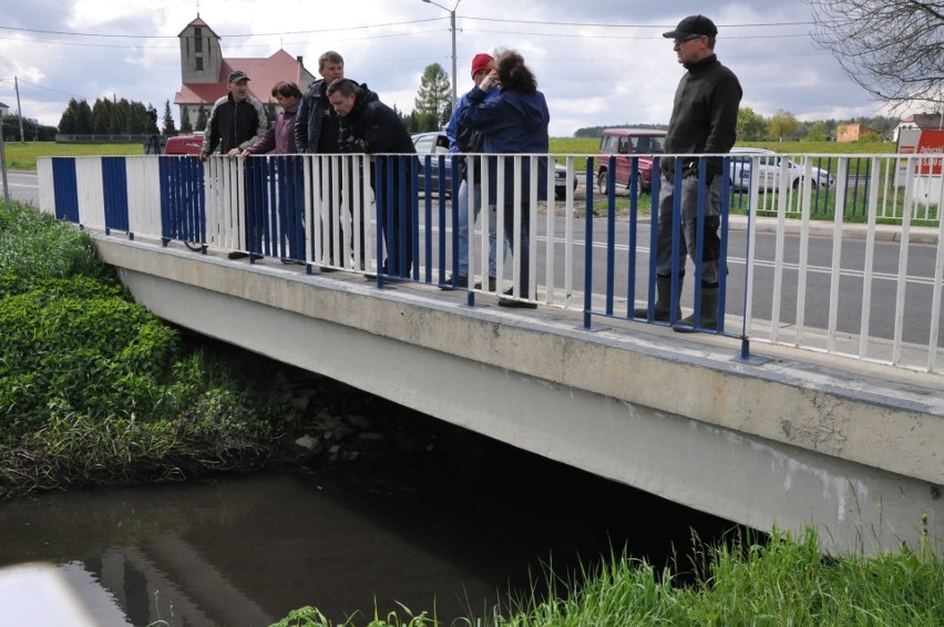 Stobrawa to ściek. Woda z rzeki truje zwierzęta i ludzi [Zdjęcia].