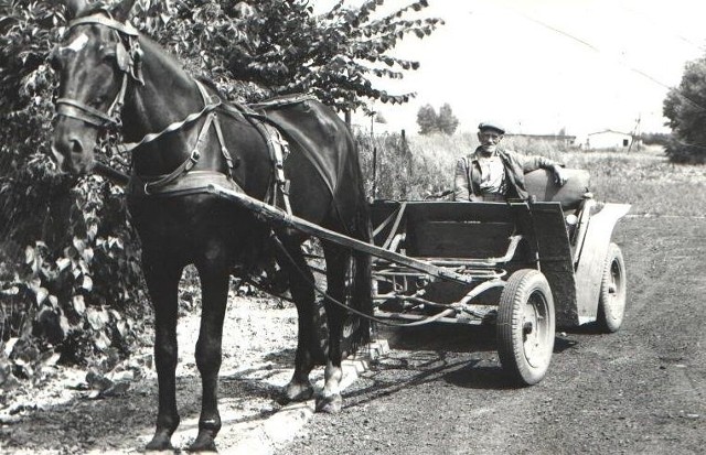 Wielkopolska wieś 30 lat temu