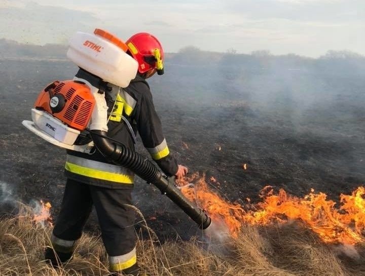 W powiecie opatowskim pożar traw zajął blisko 24 hektary,...