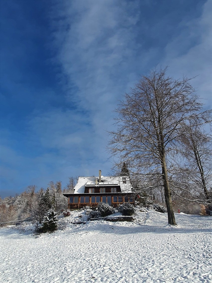 Beskid Sądecki. Zima zawitała w góry. Piękne widoki z Bacówki nad Wierchomlą, widać nawet Tatry. Zobacz zdjęcia
