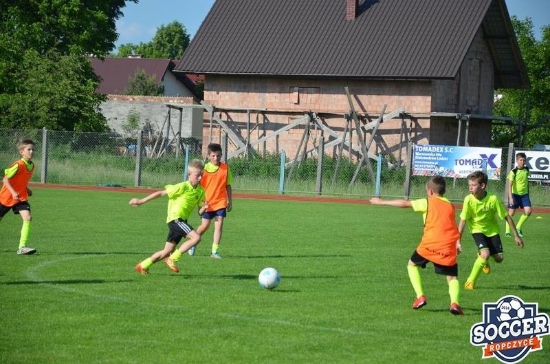 Piłkarskie szkółki z Ropczyc i Krzeszowa z brązową gwiazdką PZPN. Soccer i Rotunda, czyli mały może więcej! 