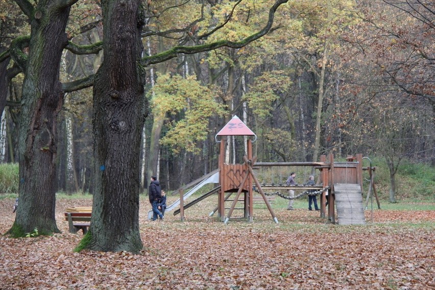 Tak wygląda park Zielona w jesiennych barwach