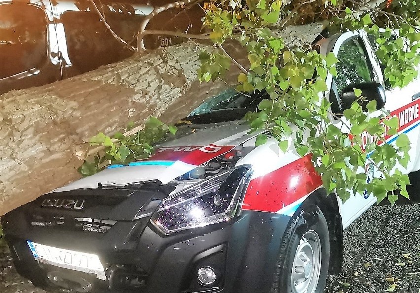 Potężny konar topoli runął 23 września na samochód...