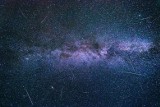 Noc Perseidów w Śląskim Ogrodzie Botanicznym. W Mikołowie będziemy mogli podziwiać spadające gwiazdy całą noc