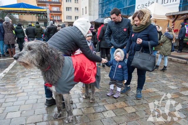 Również w Brzegu trwa 27. finał Wielkiej Orkiestry Świątecznej Pomocy. Od rana na ulicach miasta trwa kwesta. O 14.00 rozpoczęły się koncerty, o 20.00 zaplanowano światełko do nieba, a później koncert Princess - zespołu, który wykonuje utwory Queen.