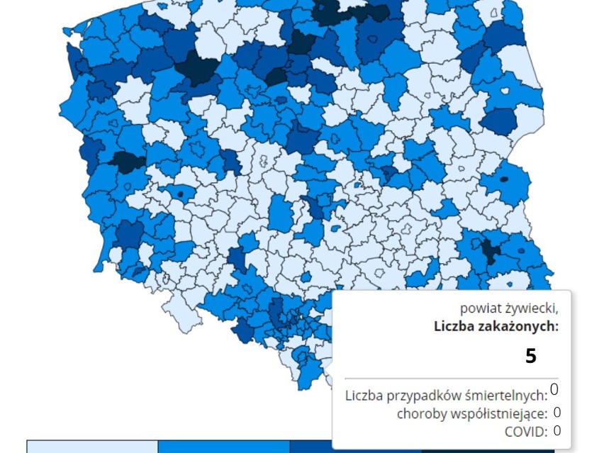 Sprawdź liczbę zakażeń i zgonów w powiatach i miastach na...