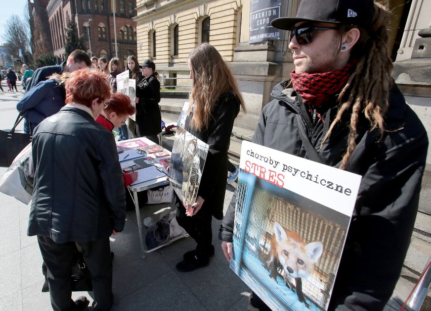 Stowarzyszenie BASTA protestuje przeciwko naturalnym futrom [zdjęcia,  wideo]