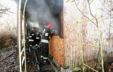 Pożar drewnianej altanki na Widzewie. Czy przyczyną było podpalenie? 