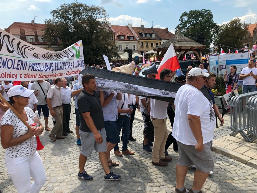 Krajowa Konwencja Prawa i Sprawiedliwości w niedzielę na Rynku w Sandomierzu. Przyjechał premier Mateusz Morawiecki 