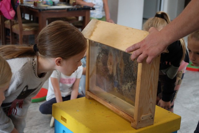 Młodzi mogli nawet pooglądać żywe pszczoły.