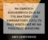 Na których przedmiotach codziennego użytku znajduje się najwięcej bakterii? Odpowiedzi zaskakują [ZDJĘCIA]