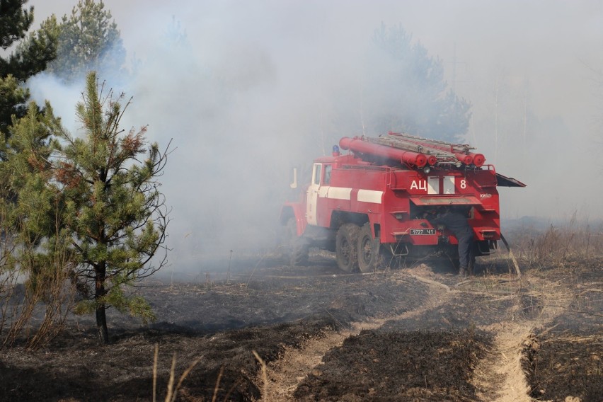 Pożar w Czarnobylu coraz bliżej skażonej strefy. Radioaktywna chmura dotrze nad Podkarpacie? [FOTO]