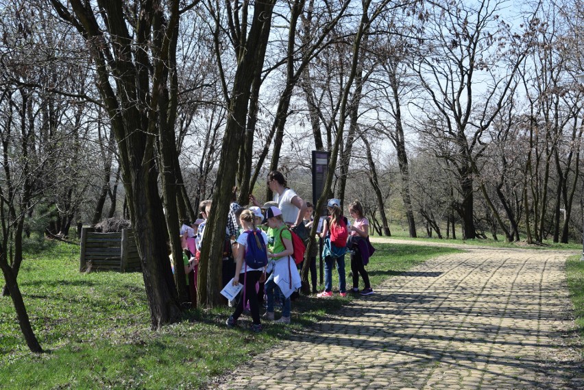 Śląski Ogród Botaniczny. Międzynarodowy Dzień Ptaków