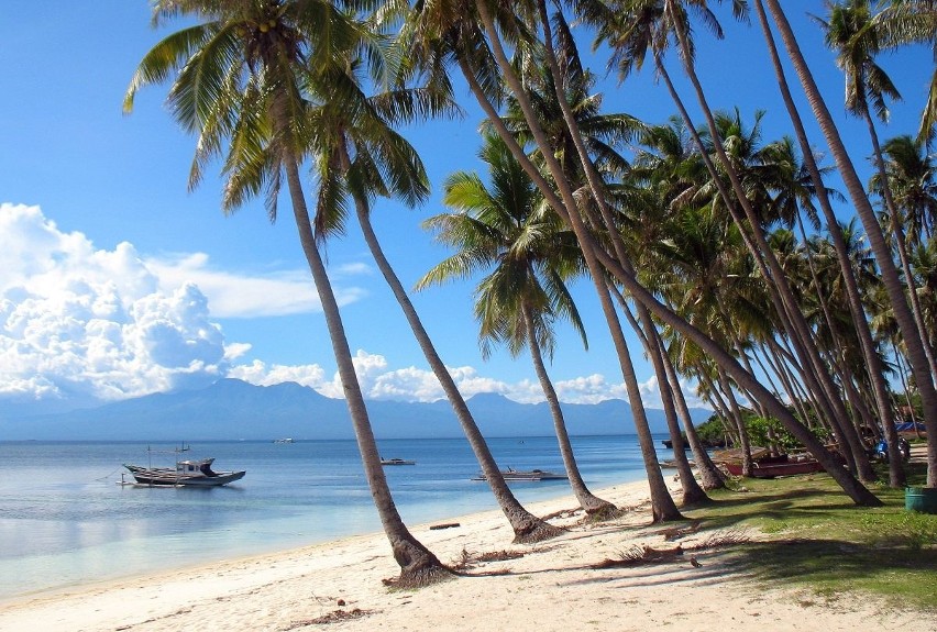 Wyspa Siquijor na Filipinach. Niemal przez cały rok jest tu...