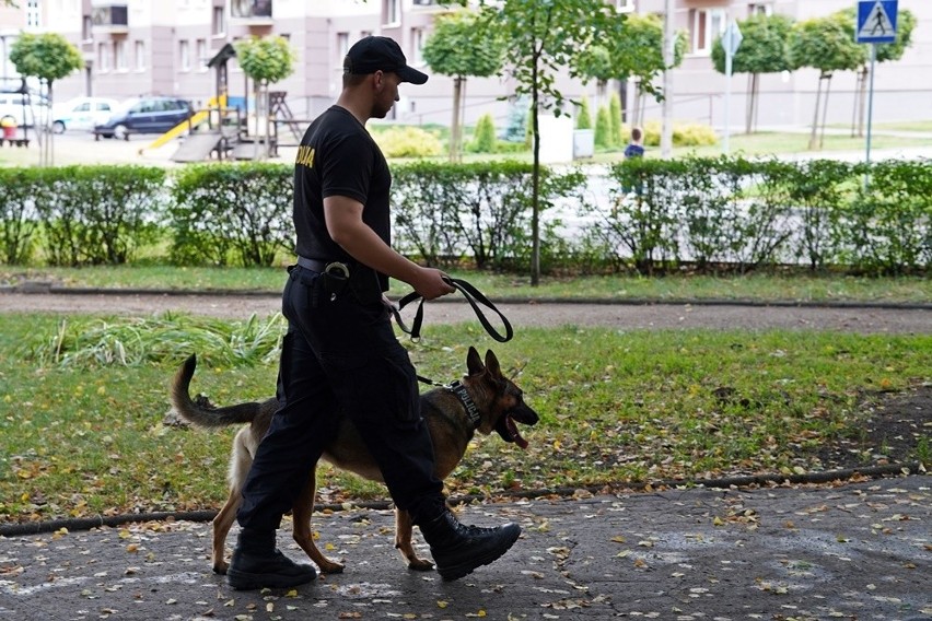 Łomżyńska policja ma nowe psy. To owczarki belgijskie Nida i Nona [ZDJĘCIA]