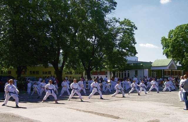 Sekcja karate jest jedną z najbardziej utytułowanych w Międzyszkolnym Klubie Sportowym. Podczas obchodów jubileuszu, młodzi karatecy dali efektowny pokaz