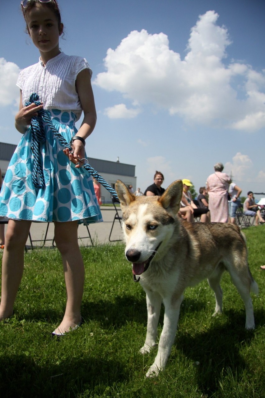 Dzień otwarty w Schronisku dla Zwierząt