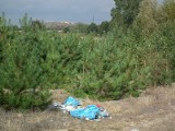 Dzikie wysypiska śmieci w okolicach Zwolenia nadal istnieją (zdjęcia)