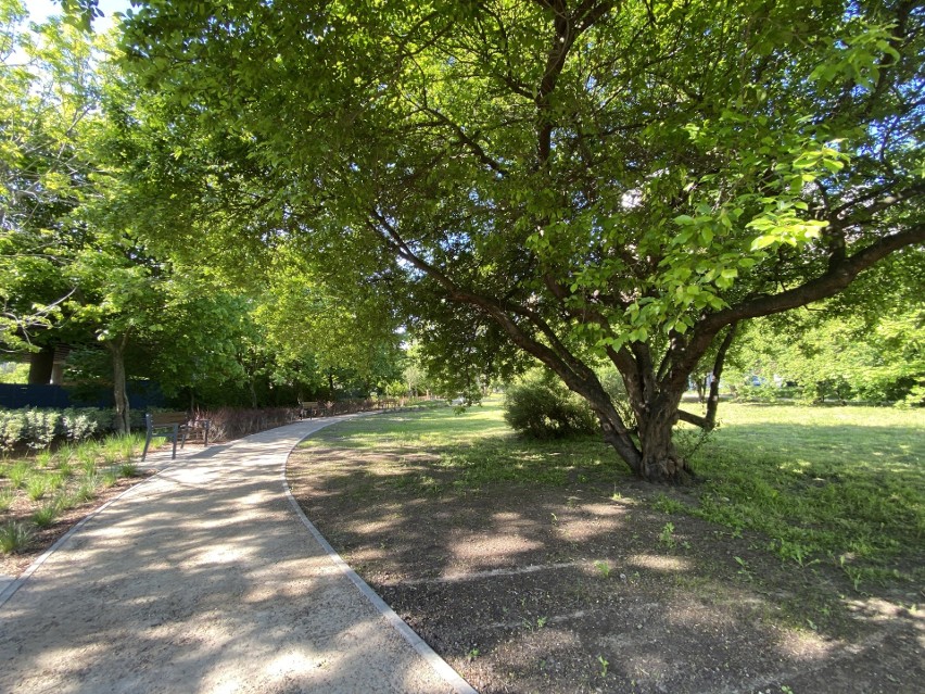 Budżet Obywatelski w Gdyni. Park koło Estakady Kwiatkowskiego gotowy. Zobaczcie zdjęcia