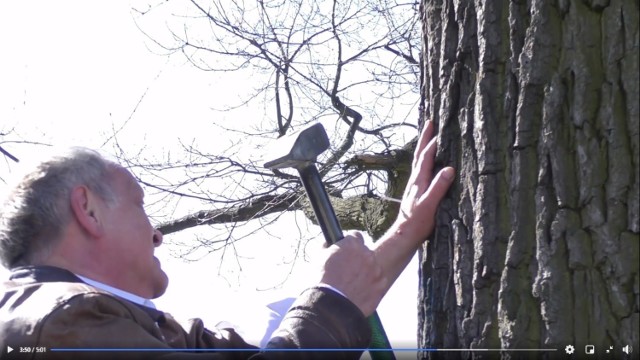 Bogdan Bentyn w piątek na znak protestu przeciwko wycince drzew opublikował film, na którym przybija swoją dłoń do drzewa. Zobacz więcej zdjęć (uprzedzamy, że są drastyczne) ----->