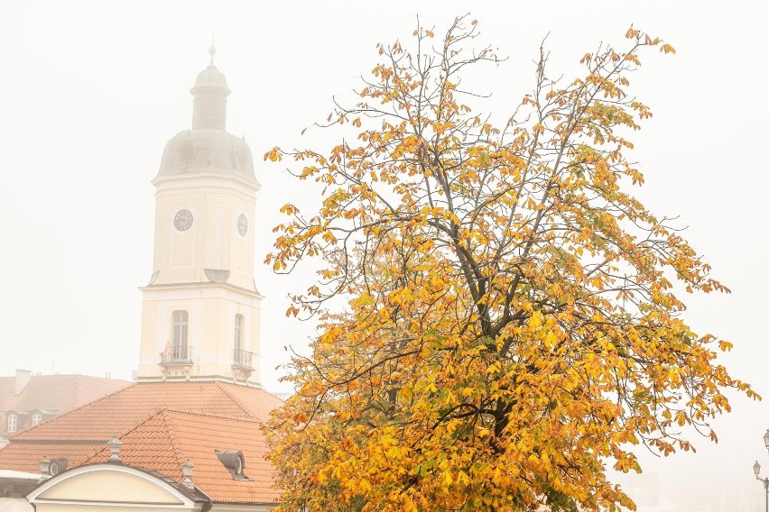 Mgła w Białymstoku i województwie podlaskim. Zobaczcie jak wyglądał poniedziałkowy poranek w mieście [ZDJĘCIA]