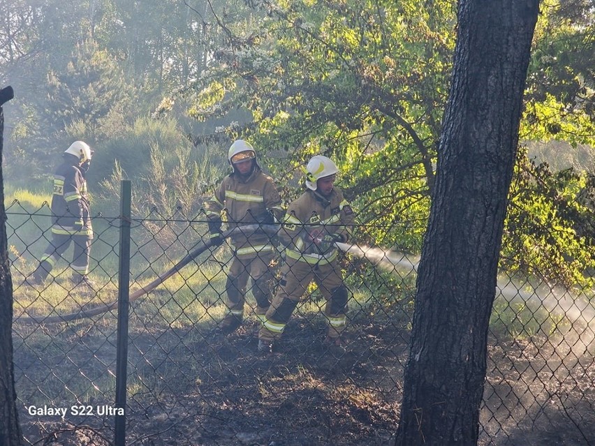 Pożar domku holenderskiego w Łebie. Podczas gaszenia doszło...