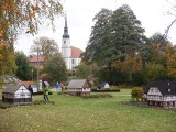 Najpiękniejsze domy łużyckie w miniaturze i oryginale. Zobaczysz je we wsi Cunewalde, najdłuższej w Niemczech