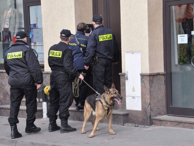 Policjanci z psami przeczesali wszystkie kamienice i podwórka na starym mieście w Świeciu