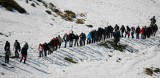 Pielgrzymi nie wyjdą na Tarnicę. Dyrekcja Bieszczadzkiego Parku Narodowego zamknęła szlaki