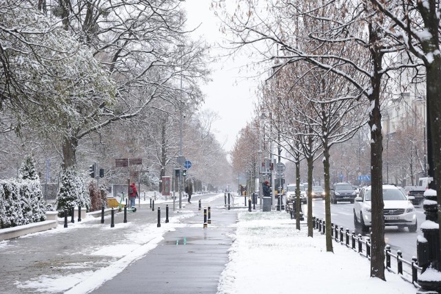 Do połowy grudnia możemy mówić o zimie, a co dalej? Czy na święta Bożego Narodzenia będzie biało?