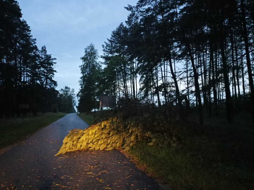 Wichura siała spustoszenie w regionie. 100 wyjazdów i...