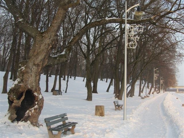 W ramach inwestycji Urząd Miejski zadbał także o świąteczną oprawę skarpy i parku, instalując na nowych latarniach dekoracje.