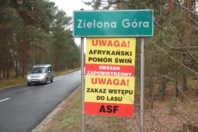 Zielona Góra. Przez wirusa ASF działkowcy nie mogą dostać się do ogrodów |  Gazeta Lubuska