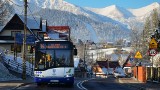 Koronawirus Zakopane. Miejska komunikacja ogranicza kursy autobusów 