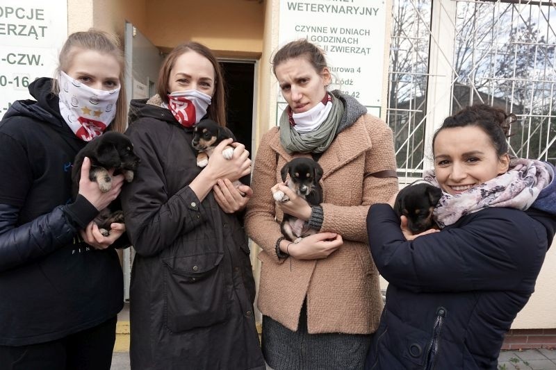 Łódzkie siatkarki ŁKS Commercecon Łódź kochają zwierzęta i wspierają łódzkie schronisko dla bezdomnych zwierząt przy ul. Marmurowej