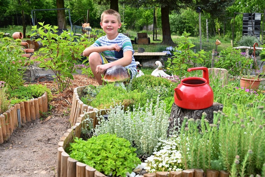 Niesamowite! 11-letni Marek z Klonowa urządza ogrody. Chce stworzyć miejsce otwarte dla wszystkich. Pomóżmy