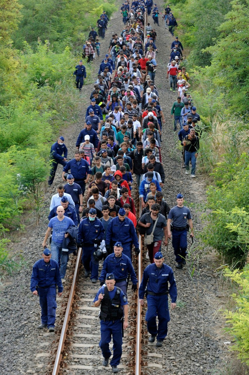 Uchodźcy zalewają Europę. Trafią także do woj. śląskiego
